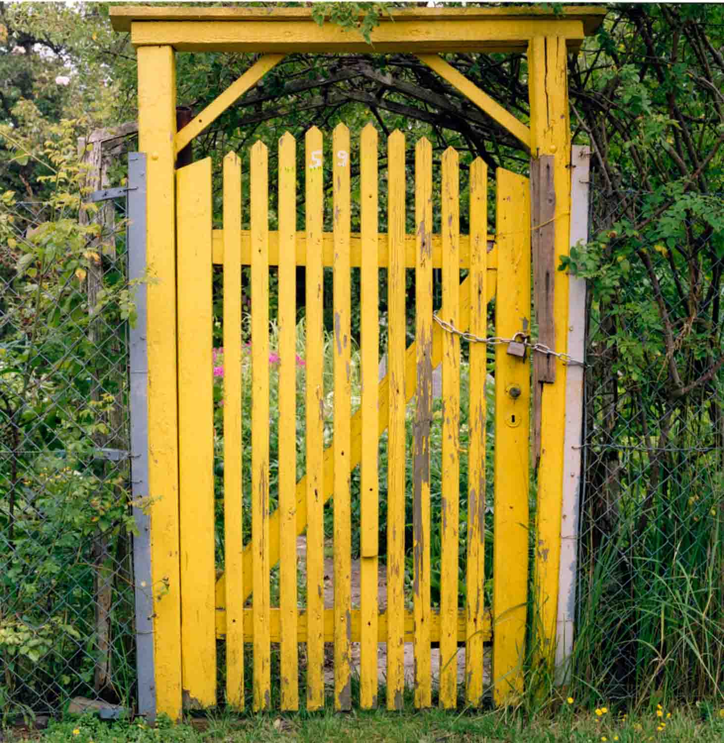 PARADISE LOST AND FOUND